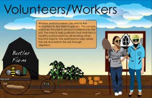 Volunteer-