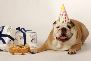 blue birthday cake