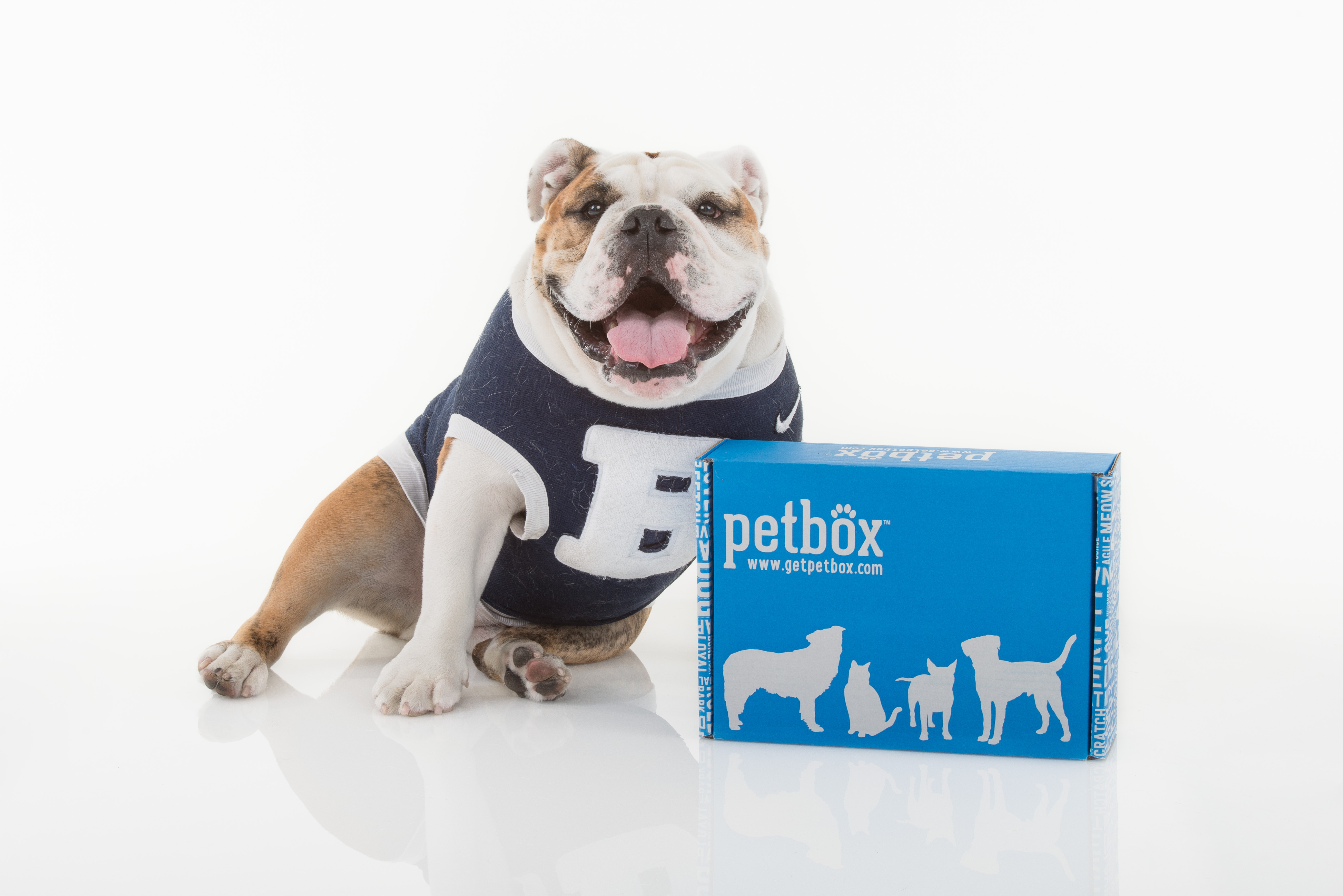 Petbox inc deals