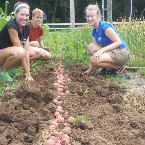 Farm Interns 2014