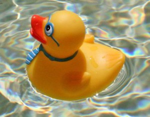 Geek_rubber_duck_2