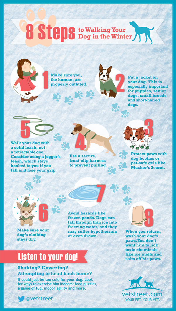 dog-walking-in-winter-infographic-600px