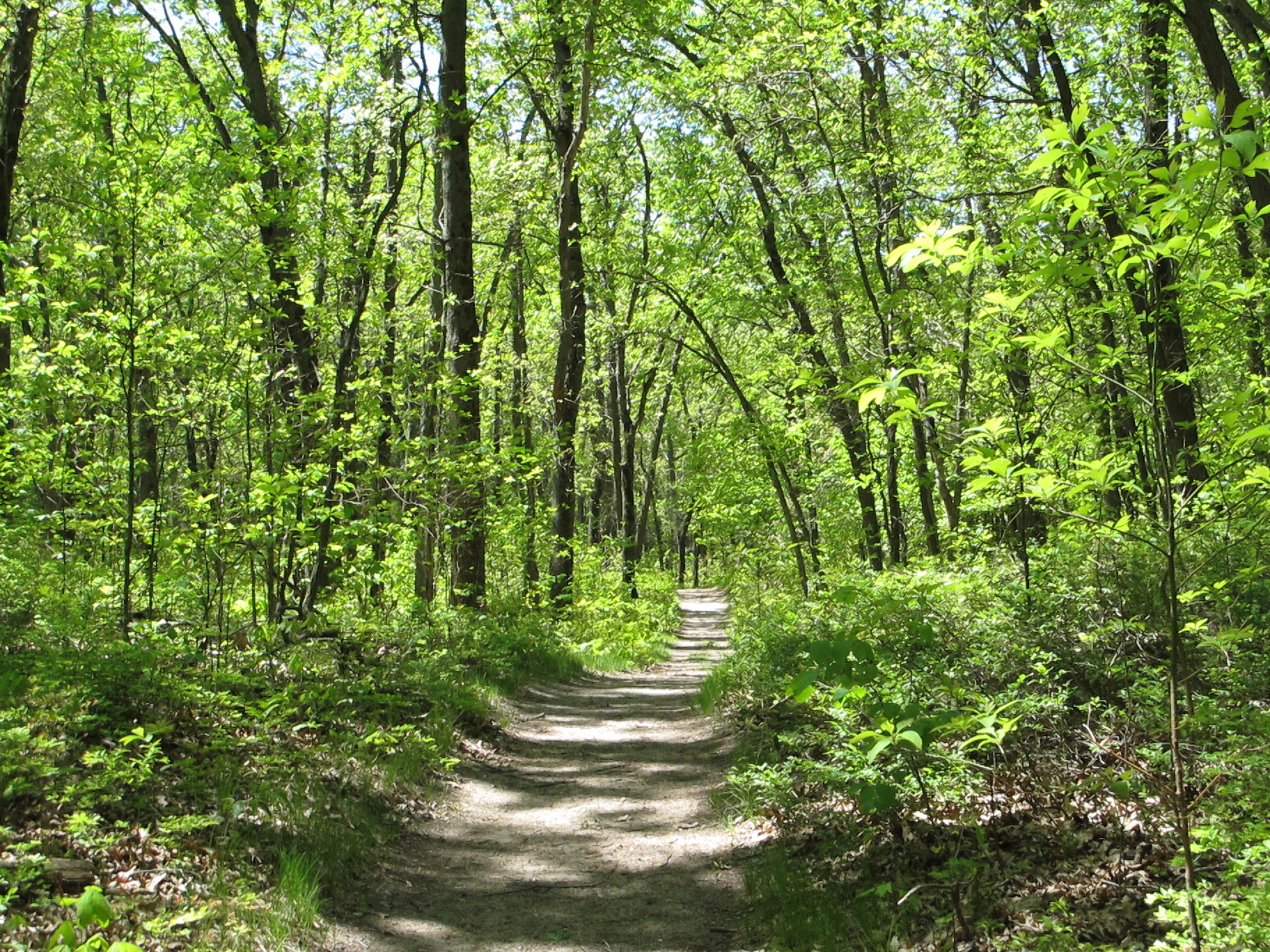 IN-Dunes-Trail-05-11[1]