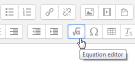 Equation Editor button