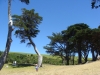dsc01640