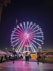 A bright neon Ferris Wheel lighting up the night sky.