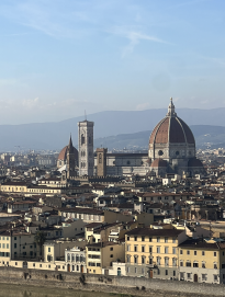 View of the Duomo and city of Florence from nearby hillside