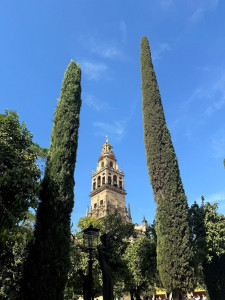 Mosque-Cathedral of Córdoba