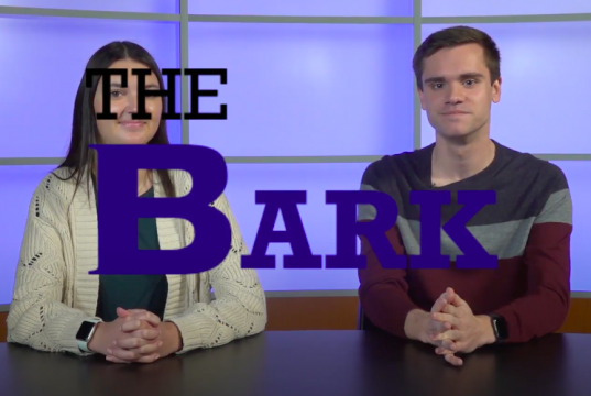 Two anchors on a TV set with a text graphic saying, "The Bark" overtop of them.