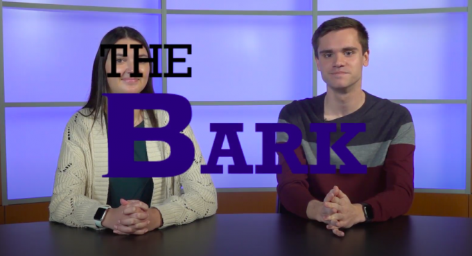Two anchors on a TV set with a text graphic saying, "The Bark" overtop of them.