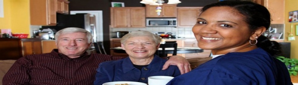 American Home Health Services Inc.